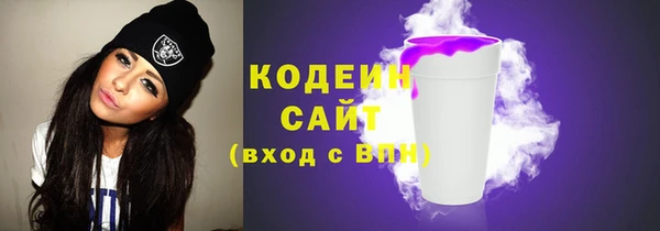 МДПВ Карпинск