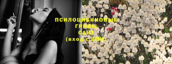 стафф Карталы